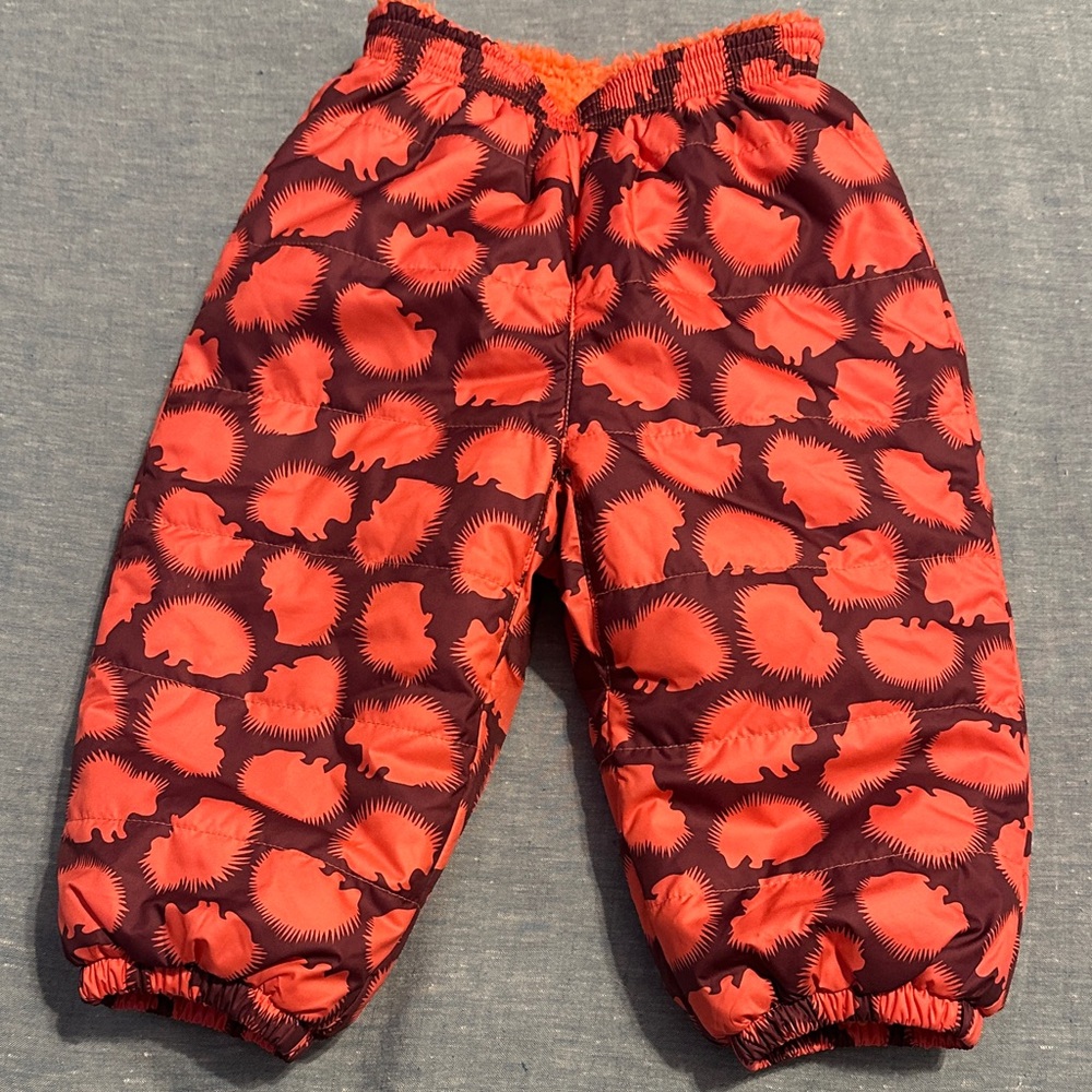 Patagonia Kids REVERSIBLE  Fleece & windproof Snow Pants EUC